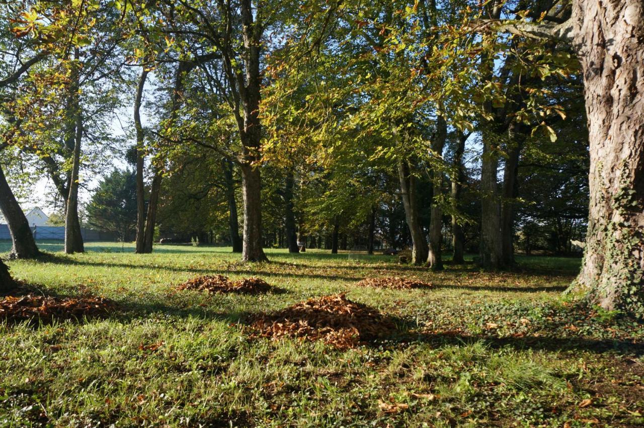 Domaine Du Moulin A Vent - Gite & Spa Saint-Florent-sur-Cher المظهر الخارجي الصورة