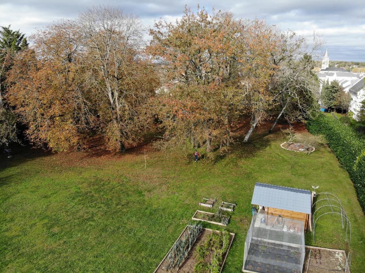 Domaine Du Moulin A Vent - Gite & Spa Saint-Florent-sur-Cher المظهر الخارجي الصورة